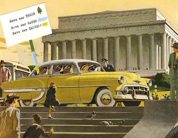 Image of Warblers in Washington. Limited edition collage print.