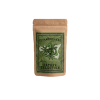 NATURE SELECTION - Cannabis light SEED LESS - PACCO ANONIMO