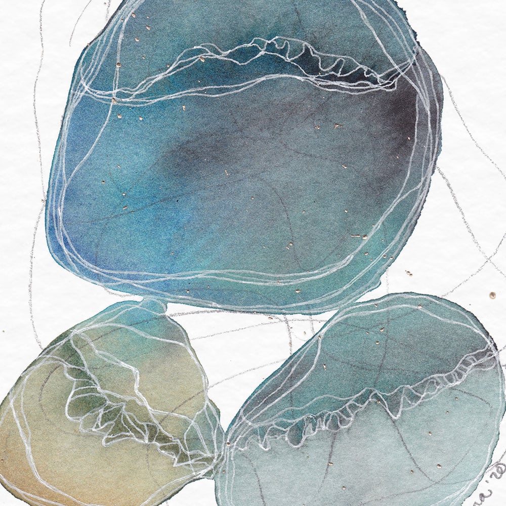 biome 001
