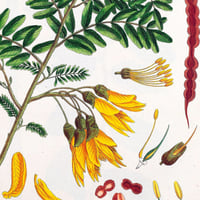 Image 1 of Flower Shop Floor