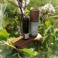 Image 3 of Rose Petals on Suede