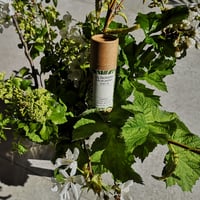 Image 2 of Pink Peppercorn & Cinnamon Leaf