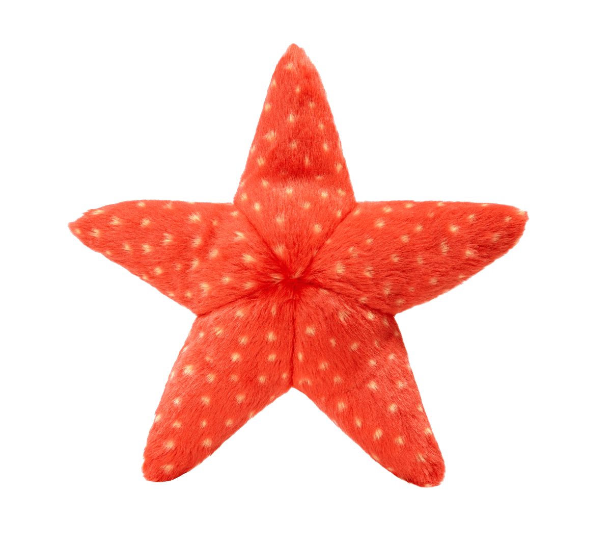 Ziggy Starfish -Fluff & Tuff