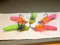 Image 1 of Carp Duster