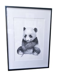 Image 2 of Panda