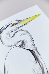 Image 2 of British Birds – Heron