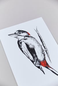 Image 2 of British Birds – Woodpecker
