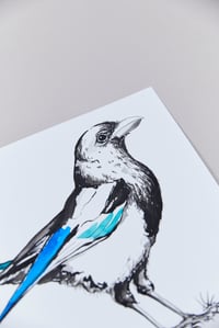 Image 2 of British Birds – Magpie