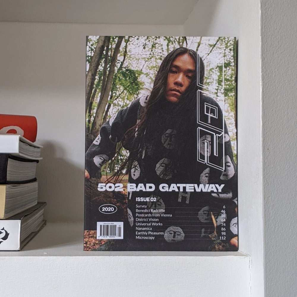 502 Bad Gateway Issue 2