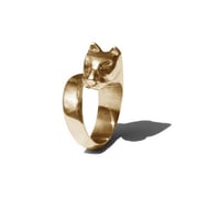 Image 5 of ring PANTERA