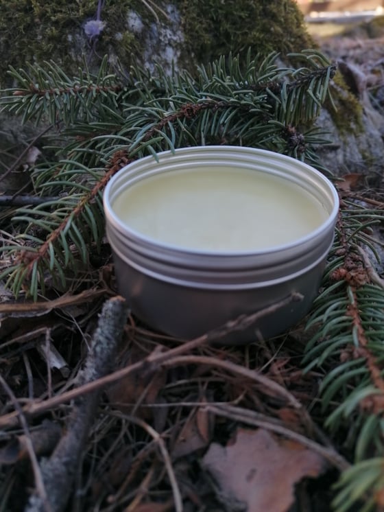 Image of Sacred Pine Pomade