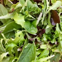 Baby lettuce mix