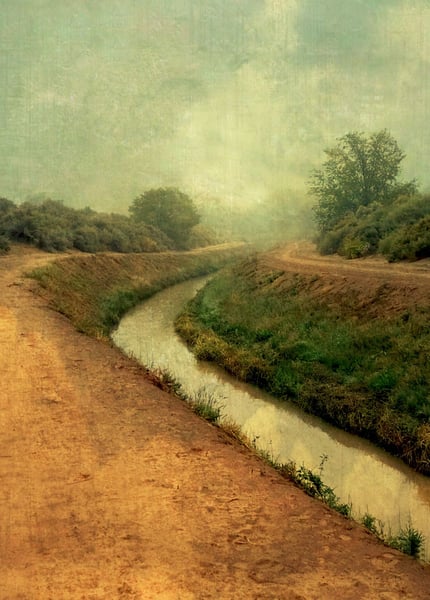 Image of Acequia (note card)
