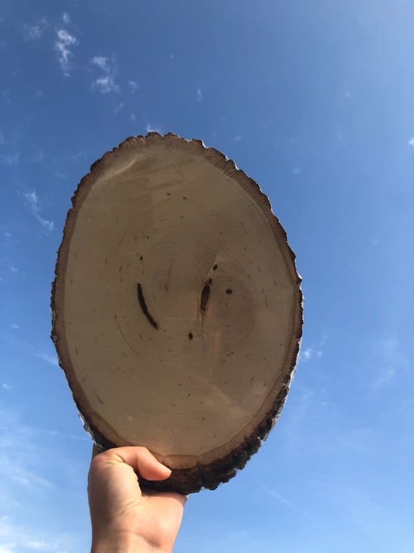 Image of Medium Round Custom Woodburn