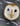Plum White Owl