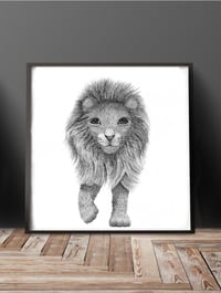 Image 2 of Lion