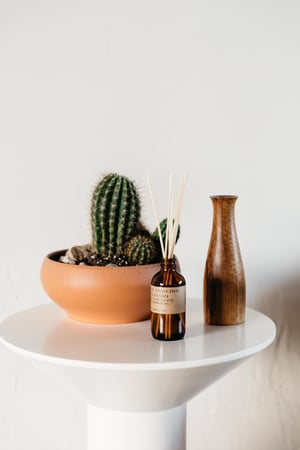 Image of PF Diffuser: Golden Coast