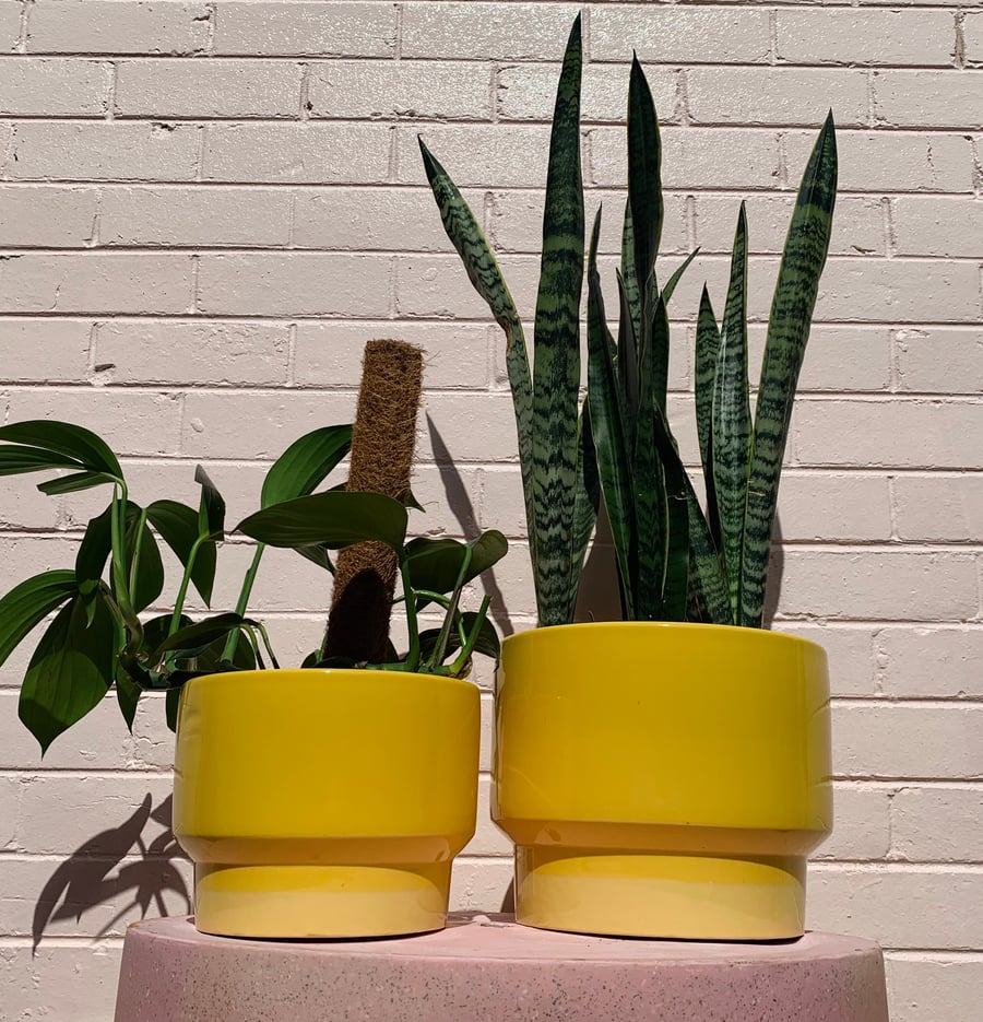 Image of Douglas & hope footed pot 4 colours