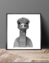 Image 2 of Emu