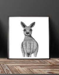 Image 2 of Little Joey