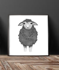 Image 2 of Sheep