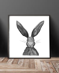 Image 2 of Hare