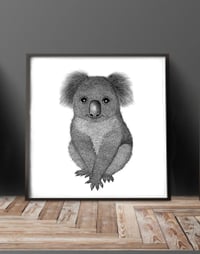 Image 2 of Koala