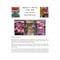 Image of Fibre Art in Australia Beginner's Weaving Guide 2022