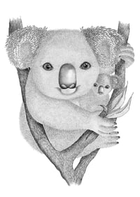 Image 1 of Koala and baby Joey