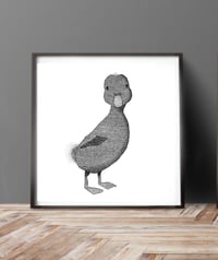 Image 2 of Lil Ducky