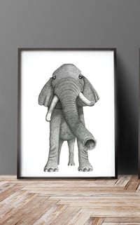 Image 2 of Elephant 