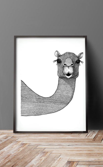 Image of Camel