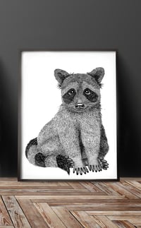 Image 2 of Raccoon