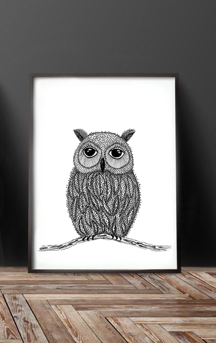 Image of Owl