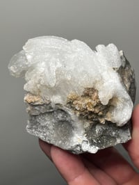 Image 10 of Ram’s Horn Selenite, Gypsum Specimen | Guizhou China #3048