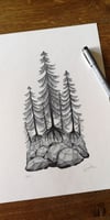 Print: Tiny Forest
