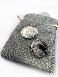 Buffalo Coin