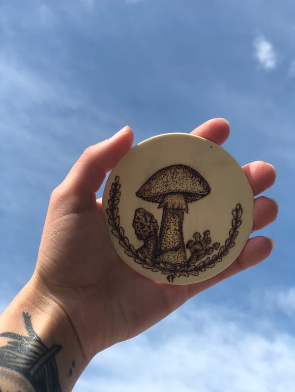Image of “State of Shrooms“ Magnet
