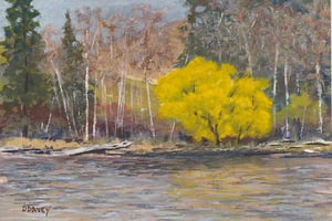 Willow on the Bitterroot
