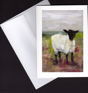 Suffolk Sheep
