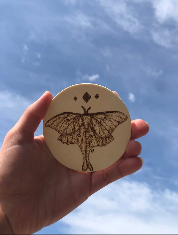 Image of Luna Moth Magnet