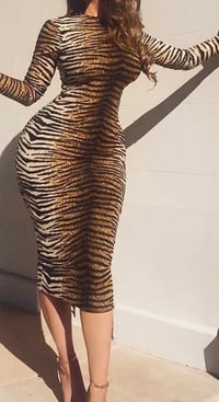 Animal Print Dress