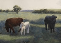 Nick Dridan - The White Calf