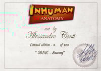 Image 3 of SONIC THE HEDGEHOG - ANATOMY  limited edition of 100 Giclèe print on fine art canvas