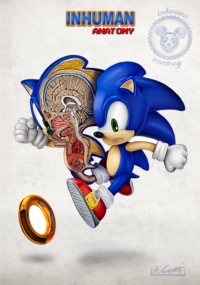 Image of SONIC THE HEDGEHOG - ANATOMY  limited edition of 100 Giclèe print on fine art canvas