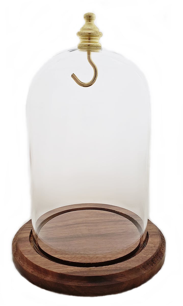 Dueber Pocket Watch Glass Display Dome, Gold Knob & Hook, Real Walnut