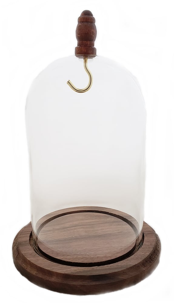 Image of Dueber Pocket Watch Glass Display Dome, Wood Knob with Hook, Real Walnut Base 3″x4-1/2″ DBR42WDH