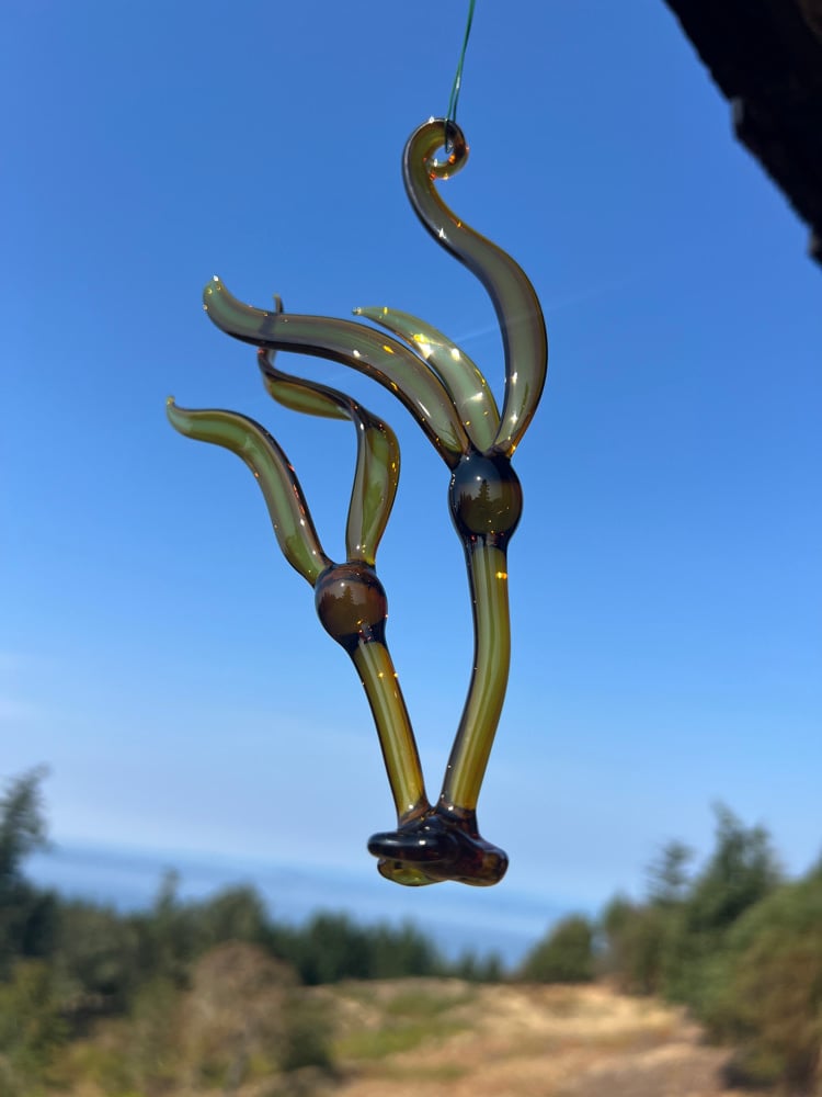 Image of Double Bull Kelp Ornament