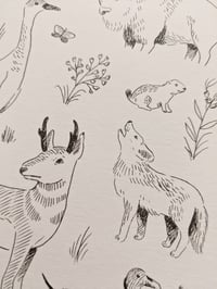 Image 4 of Great Plains Animals Drawings & Prints