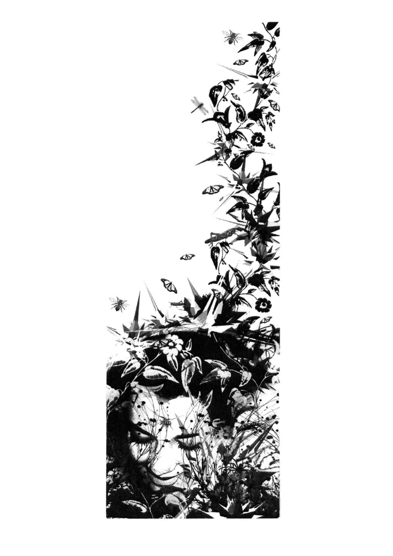 Image of Untitled, by Charles Williams. A3 screenprint